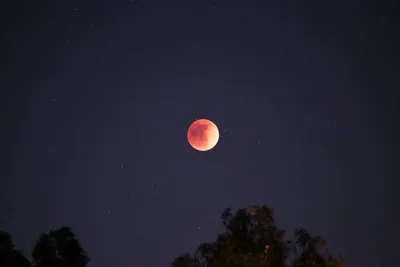 DSC_0908 (Large).JPG